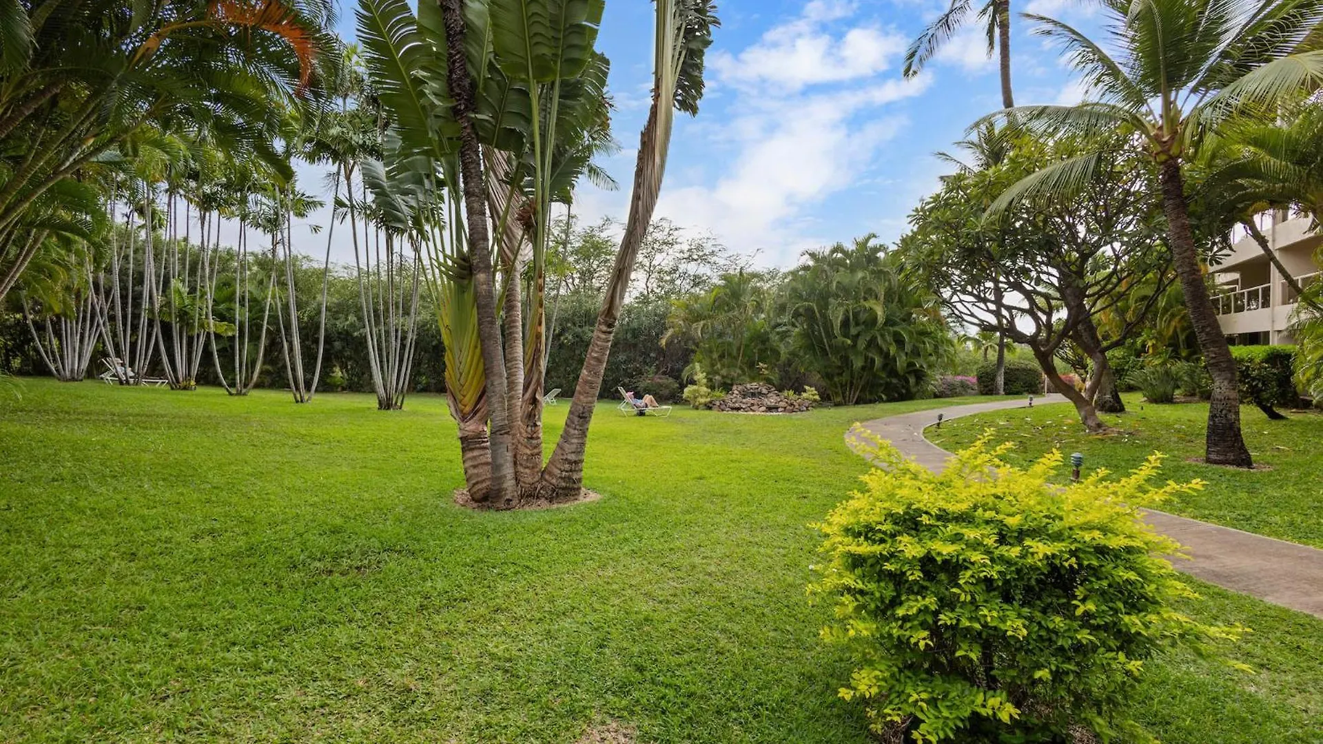 Charming & Updated Maui Banyan 2 Bath Wailea